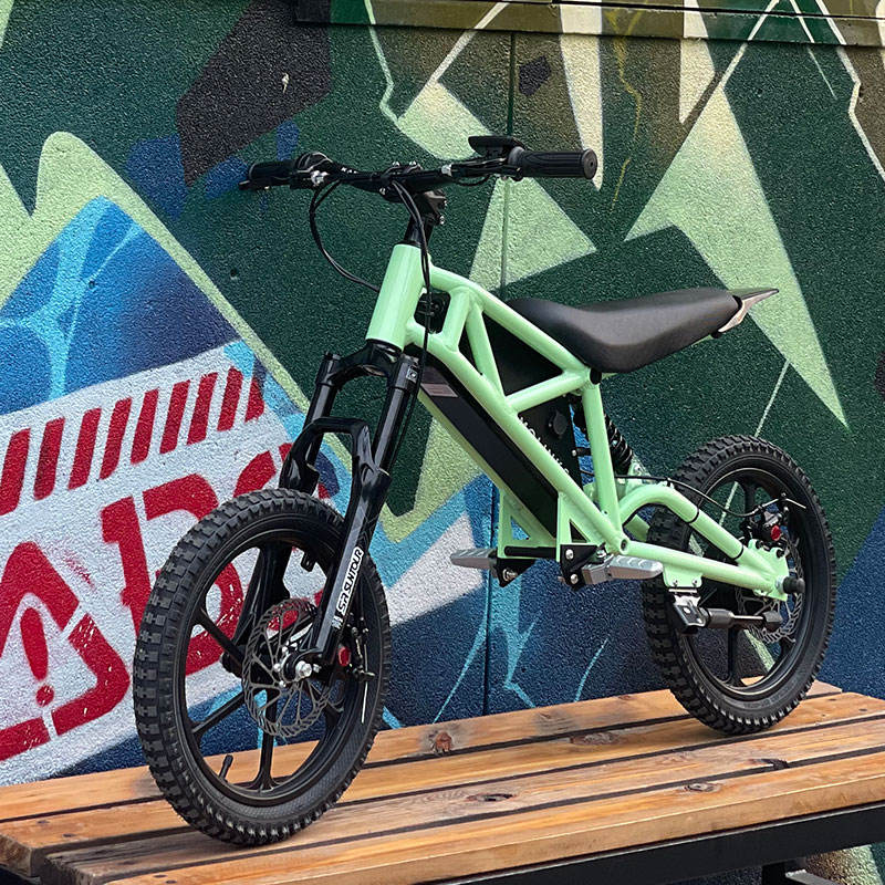 Exciting Molinks Mok Electric Dirt Bike for Kids - Lightweight MTB for Young Riders' Thrilling Adventures  e MTB teenage