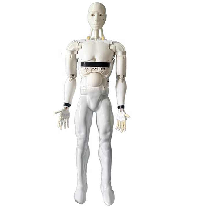 Intelligent Consultant Humanoid Smart Robotic Server Autonomous Reception Robot Greeting Server Robots