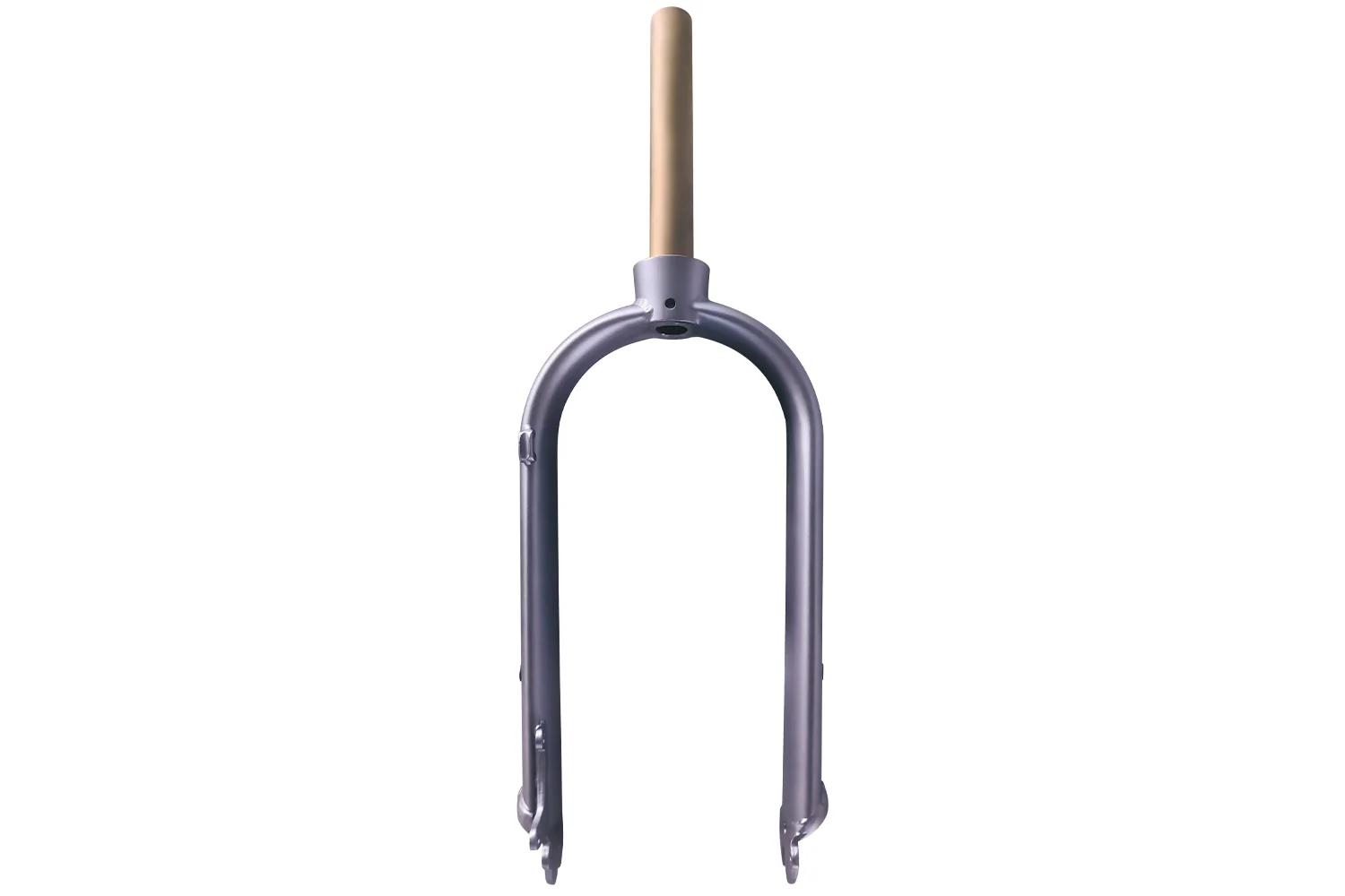 HAOQI Squirrel Electric Bike Front Fork