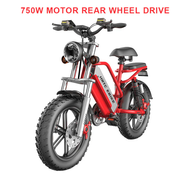 20inch fat tire snow electric bicycle 48v removable lithium battery 750w dual motor drive adult power-assisted mountain ebike