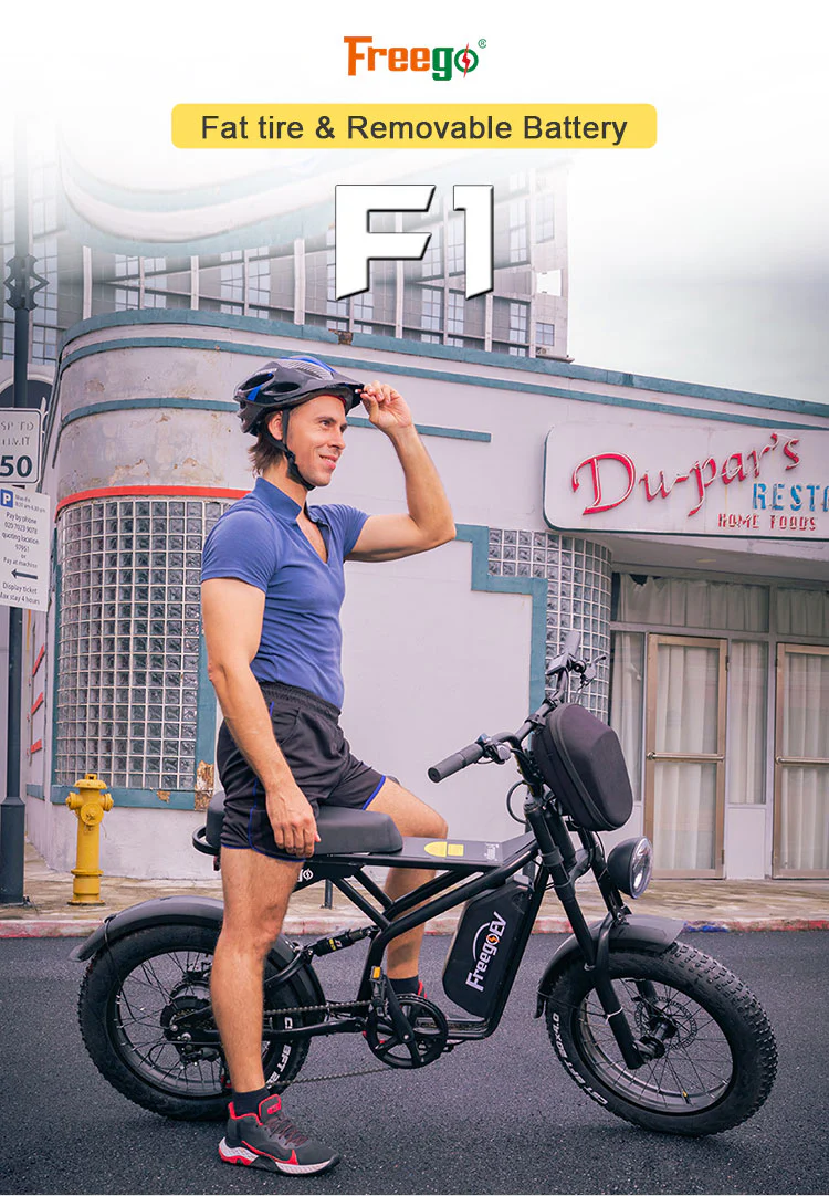 FREEGO New Design High 1000W Power Off Road Ebike 20inch Fat Tire Hybrid Electric Bike for Adult