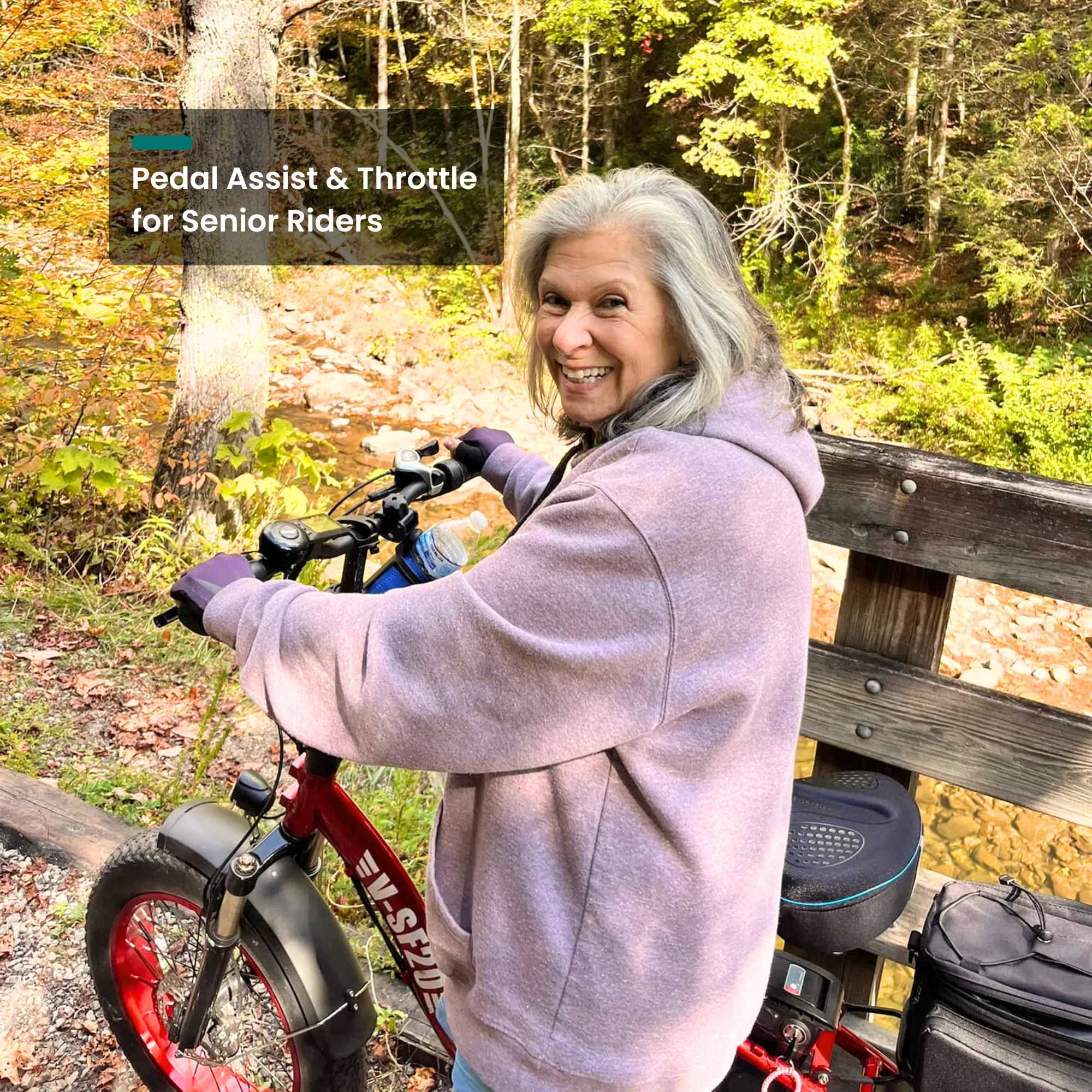 SF20H Folding Ebike Red