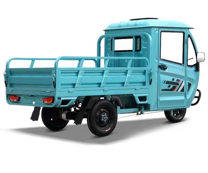 Europe and America Popular High Quality 1000w Three Wheels Triciclo Electric Cargo Tricycle Electric Cargo Tricycle for Adult