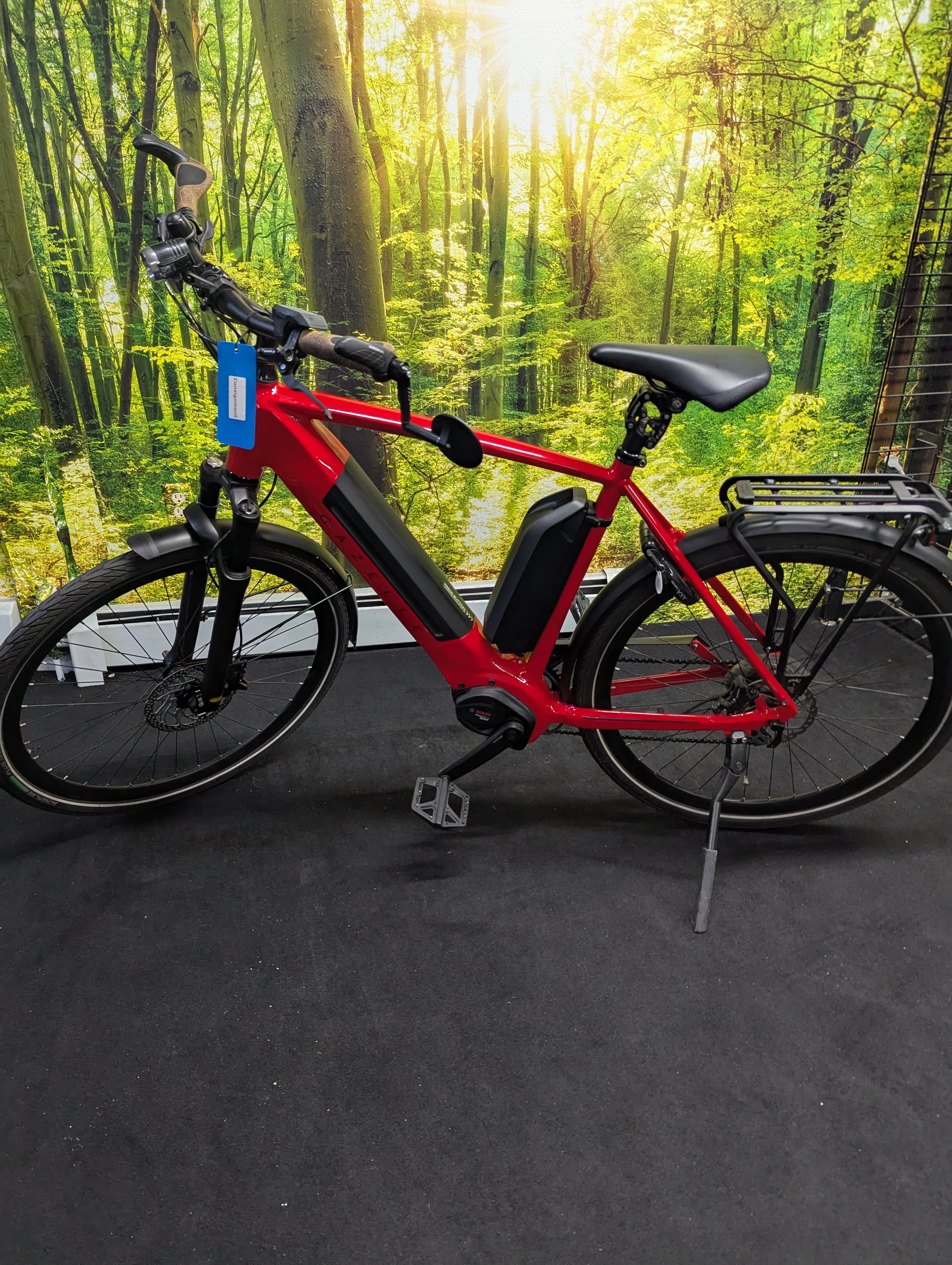 (Consignment) Gazelle Ultimate T10+ HMB High-Step 57 (Large) Champion Red