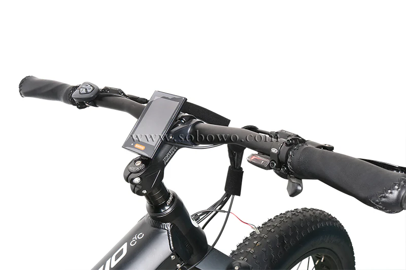 48V 1000W Bafang Ultra Mid Drive Electric Motor Bike With Fat Wheel
