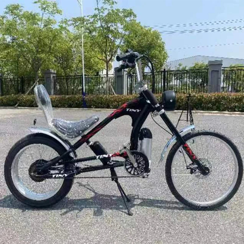 Electric Power Assisted Bicycle 20/24inch Wheel Electric Bicycle Pulling Bicycle