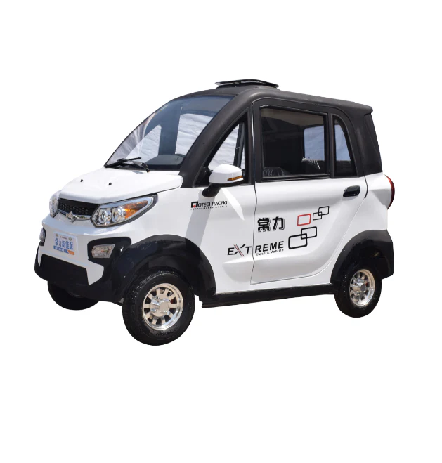 electric car for old people commercial passenger electric car mini electric car for family
