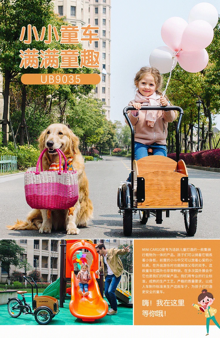 16 Inch/12Inch Children Tricycle / Hand-Push Pet Tricycle