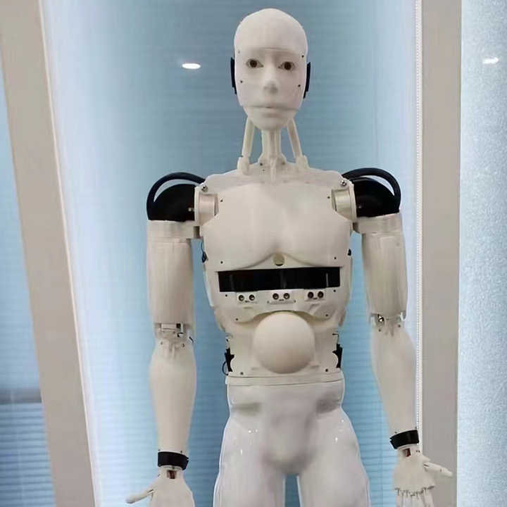 Intelligent Consultant Humanoid Smart Robotic Server Autonomous Reception Robot Greeting Server Robots