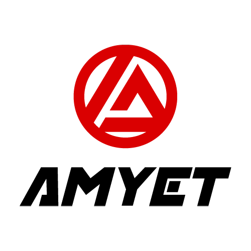 AMYET eBike Custom Fee $145 USD