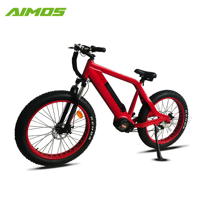 hidden battery electric bike bicycle with sopked wheels