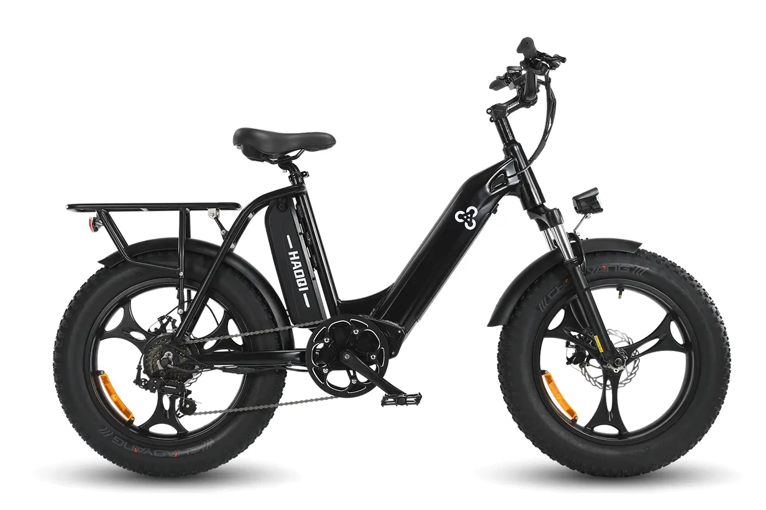 HAOQI Antelope 500W Cargo Electric Bike