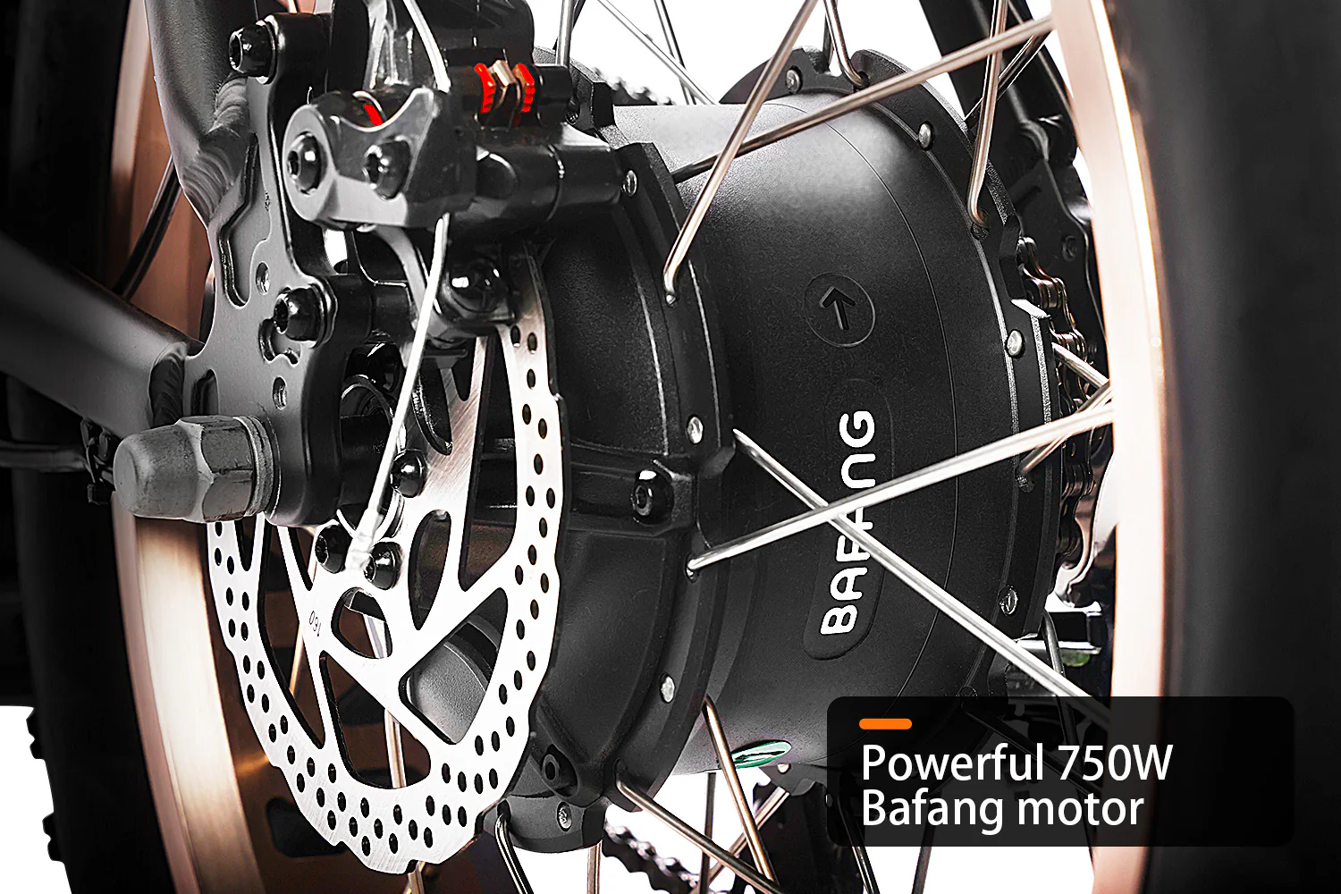 HAOQI Antelope Pro Dual Battery Cargo Electric Bike