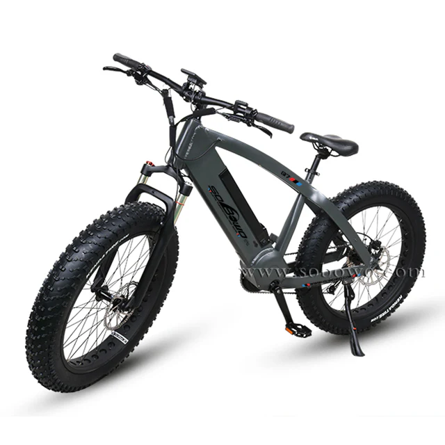 48V 1000W Bafang BBSHD Mid Drived Motor Bike With LCD Display