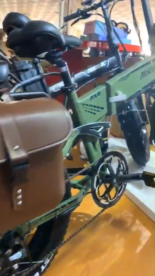 Electric folding bike 20