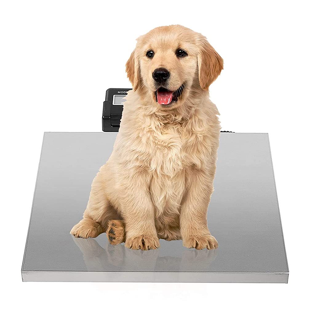 CAIYONG 440lb Shipping Scale Heavy Duty Digital Postal Platform Scale High Accuracy with PCS/Hold/Tare 30x38cm Industrial Floor Scale