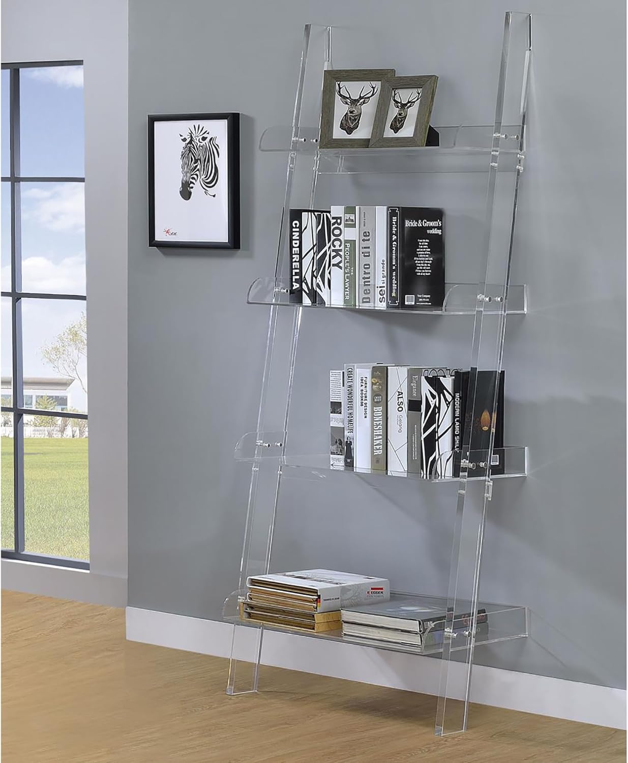 podafu Ladder Shelf, 4-Tier Bookshelf, Bookcase with Acrylic Frame, Storage Rack for Living Room, Home Office, Clear 24.5