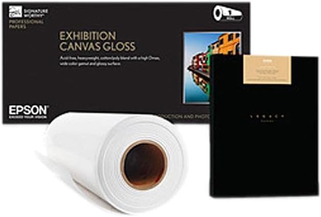 Epson DS Transfer Production