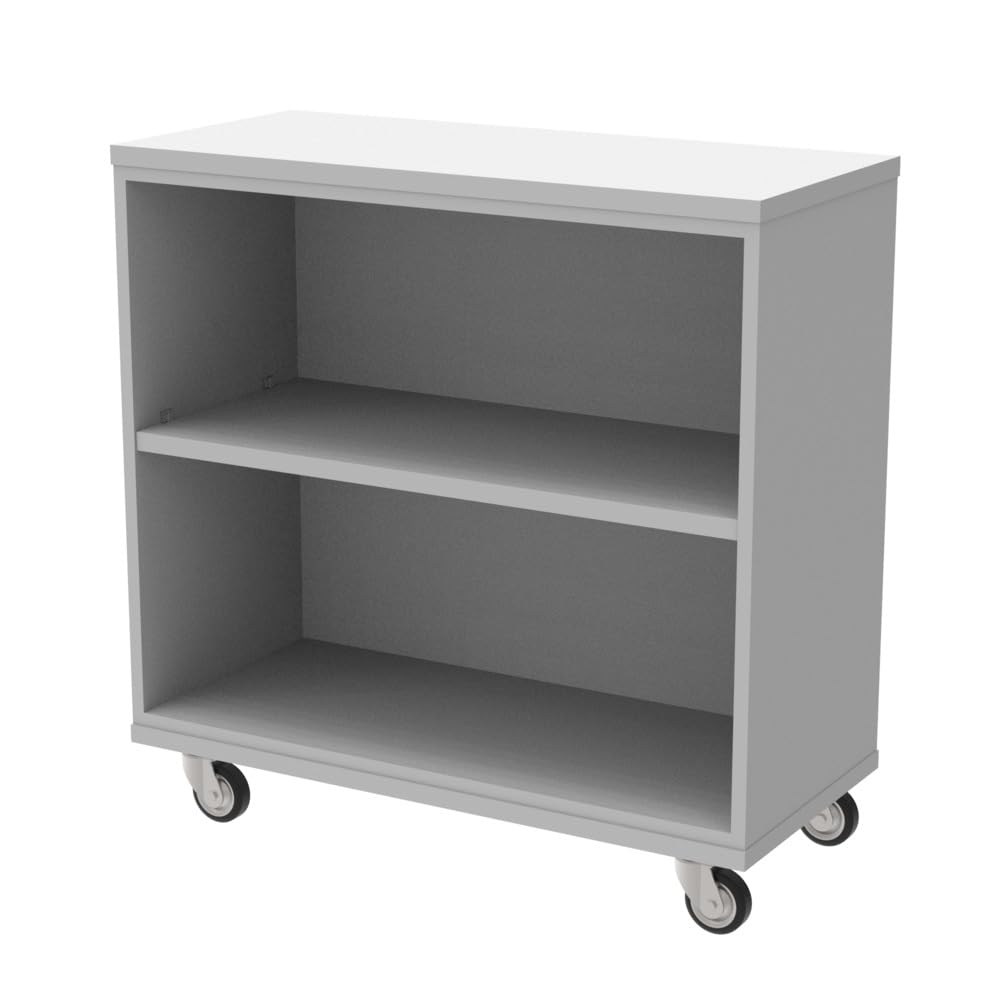 WB Mfg Mobile Single Sided Bookcase, 36