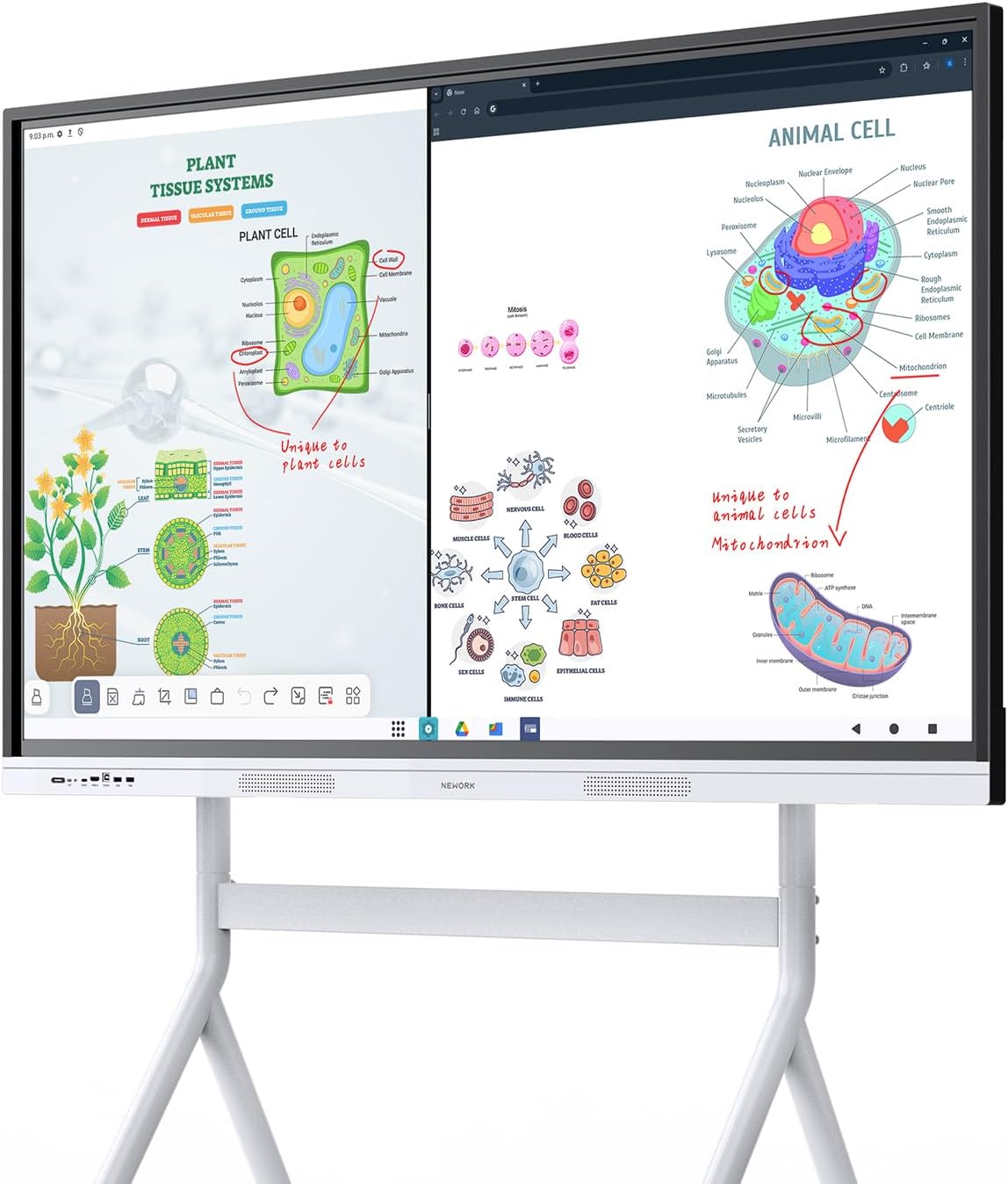 NEWORK Smart Board, 55