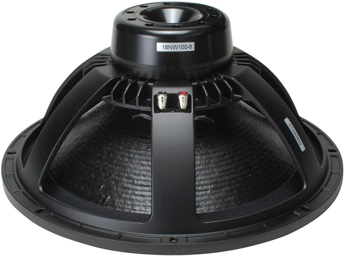 B AND C 18NW100 Studio Subwoofer
