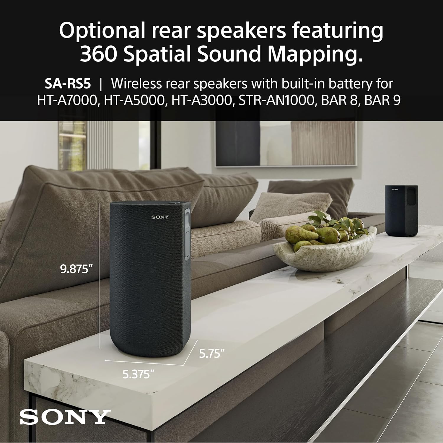 Sony SA-RS5 Wireless Rear Speakers with Built-in Battery for BRAVIA Theater (BAR 8