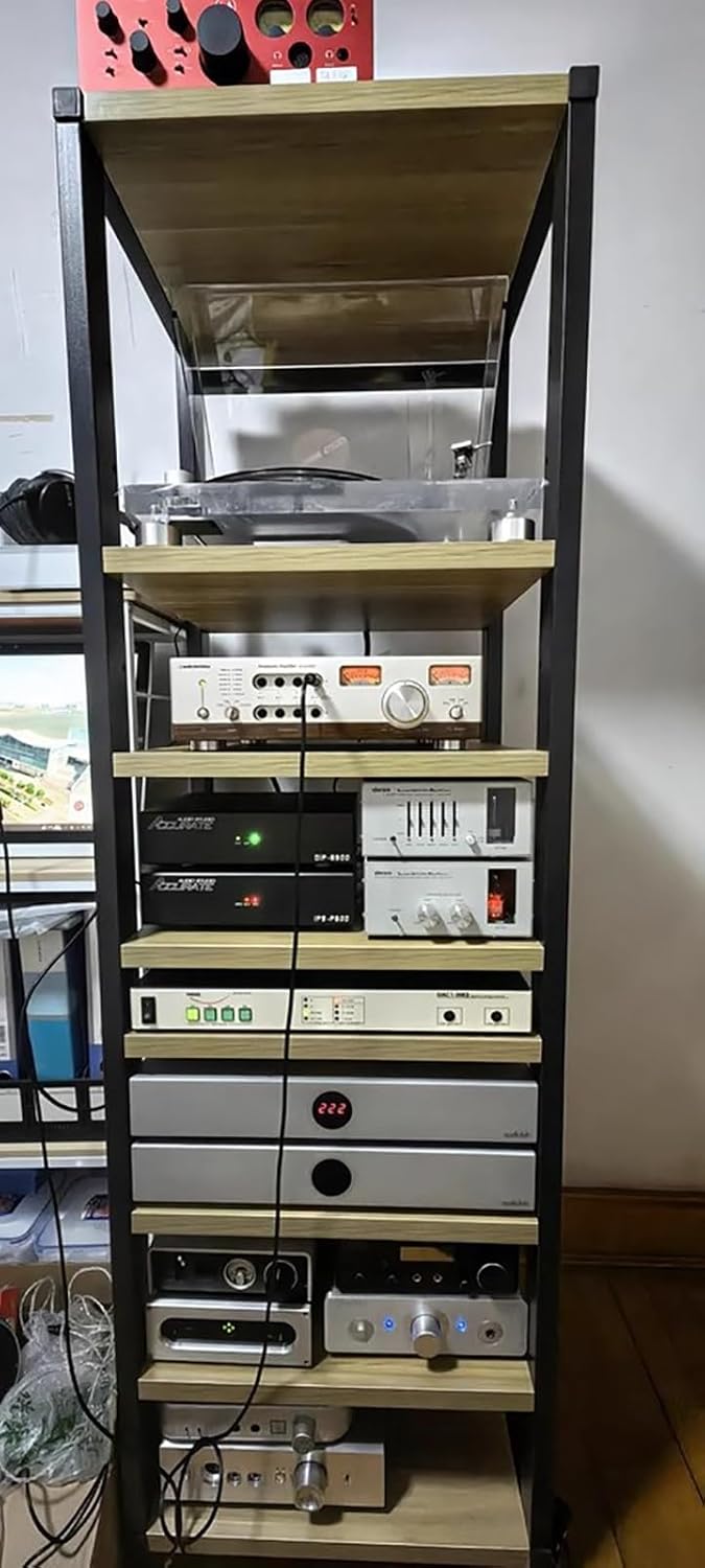 YLLFFLL Stereo Racks and Stands on Wheels