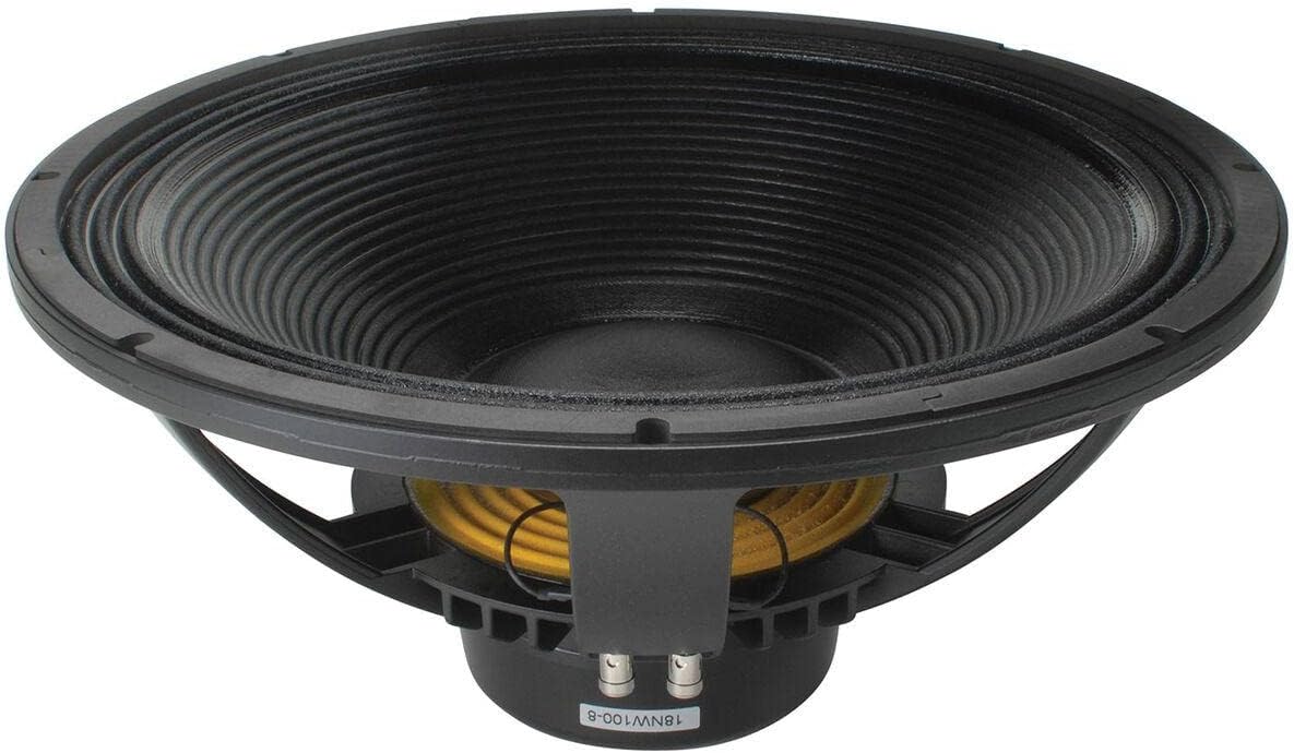B AND C 18NW100 Studio Subwoofer