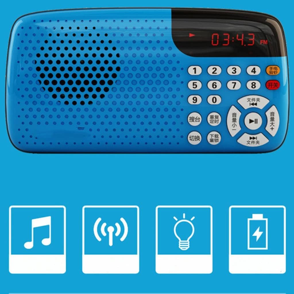 EWUROI Portable Radio Mini Stereo LED Display Auditorium Large Speakers for Old Man Morning Exercise