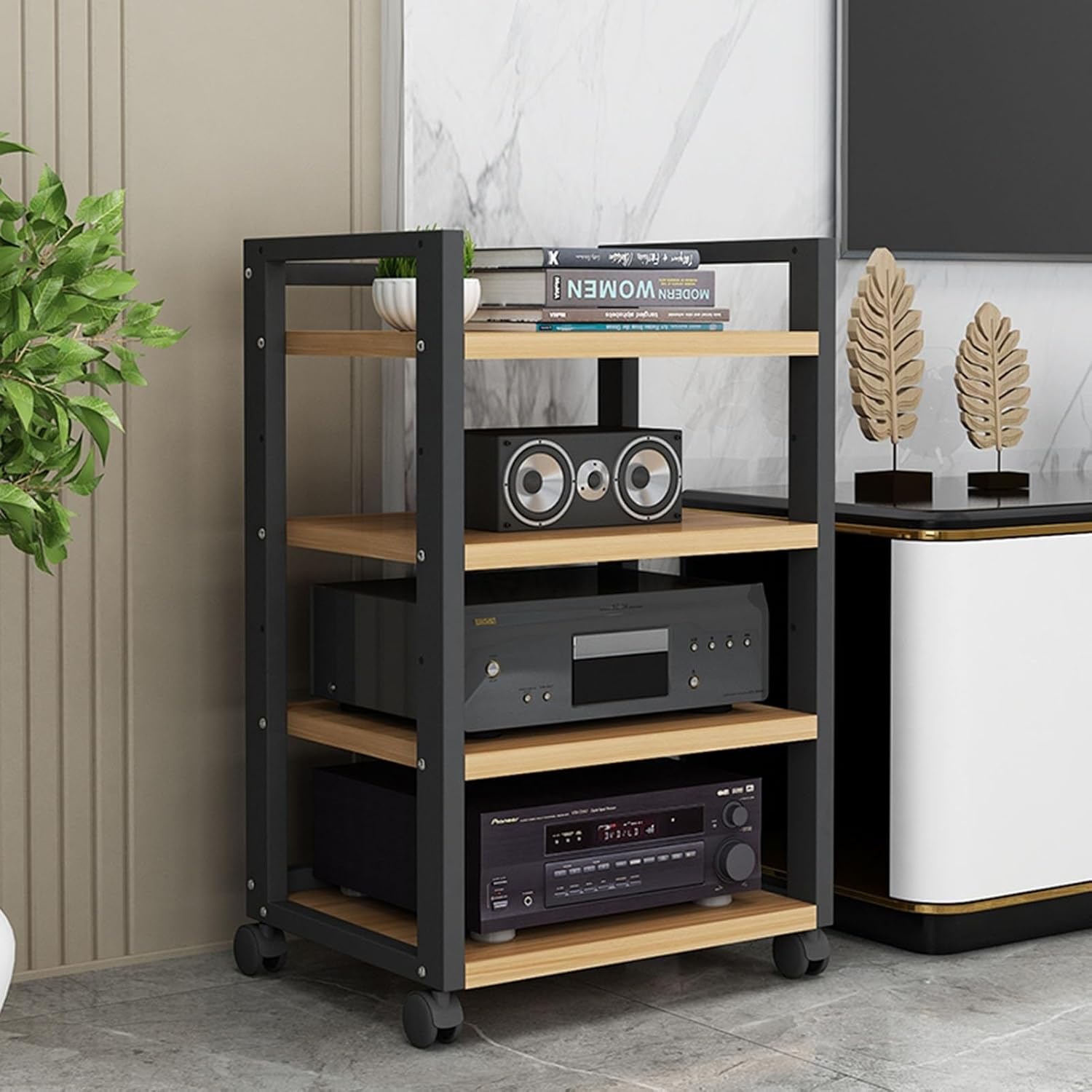 Media Storage Shelves