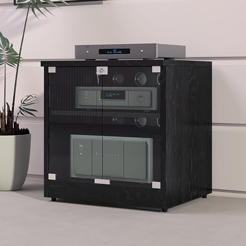 Media Storage Cabinet with Door