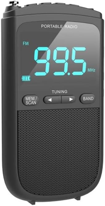 EWUROI Portable Mini FM/AM Stereo Display Radio Storage Station Clock 3.5mm Headphone Output