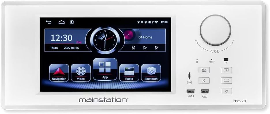 OEM Systems MS-21 Mainstation in-Wall Entertainment System