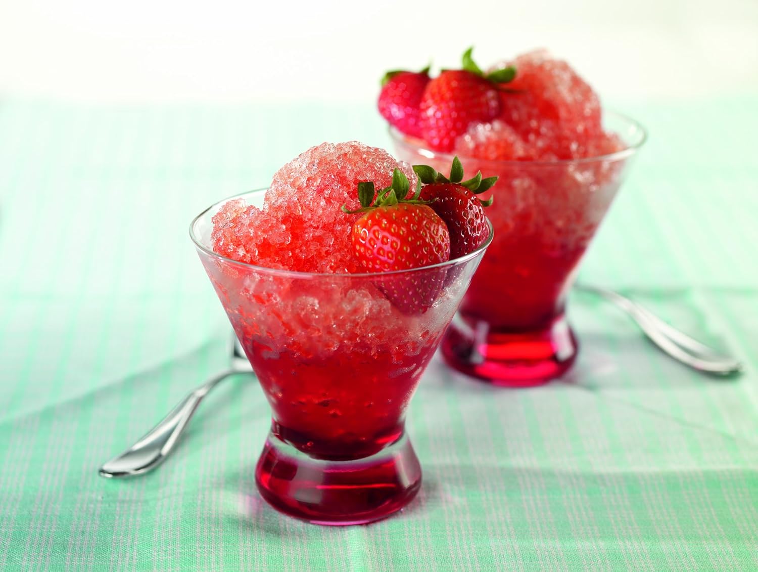 Waring Pro SCM100 Professional Snow Cone Maker