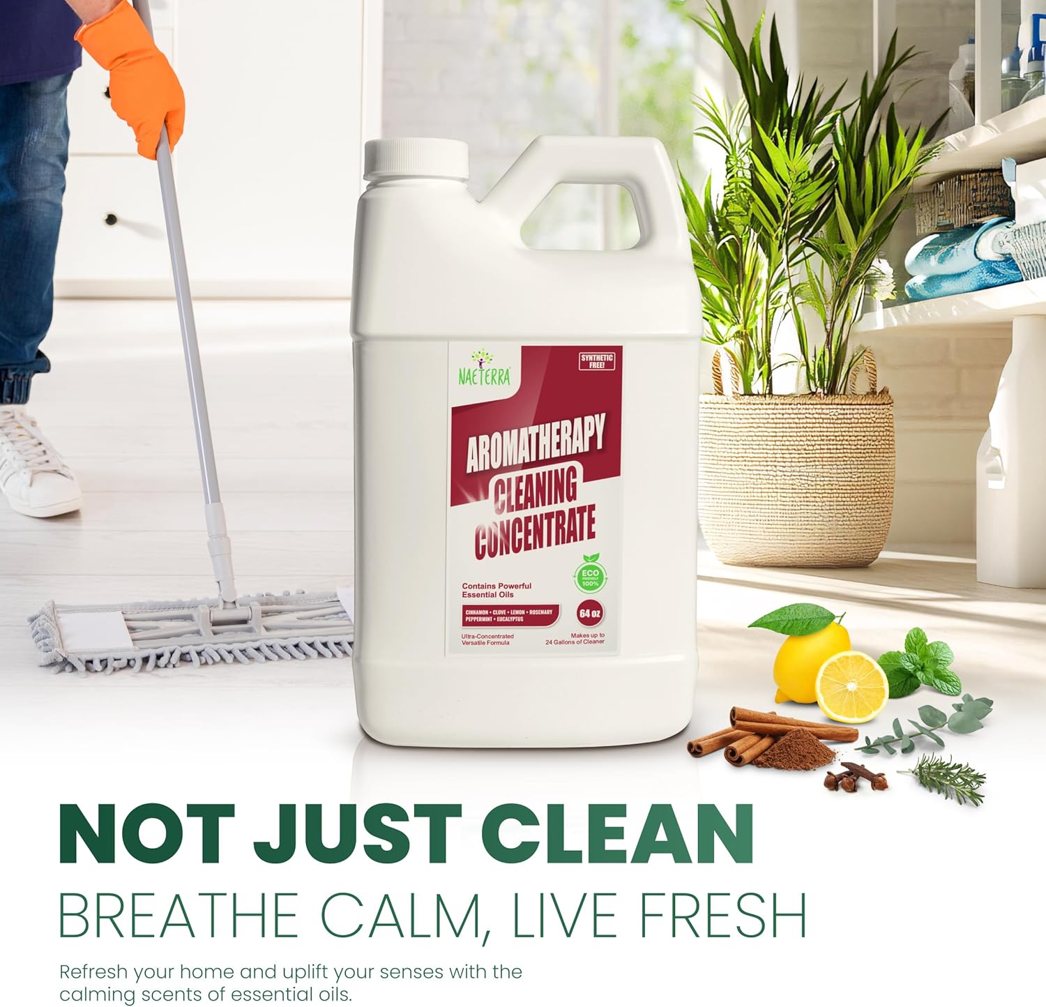 Naeterra Original Aromatherapy Cleaning Concentrate, Plant-Based Household Cleaner 64 oz with Included 10 mL Essential Oil Blend – Clove, Lemon, Cinnamon, Rosemary, Eucalyptus, and Peppermint Oils