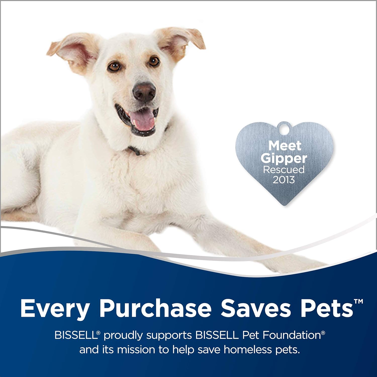 BISSELL 2486 CleanView Bagless Vacuum, Powerful Multi Cyclonic System, Large Capacity Dirt Tank, Specialized Pet Tools, Easy Empty , Orange