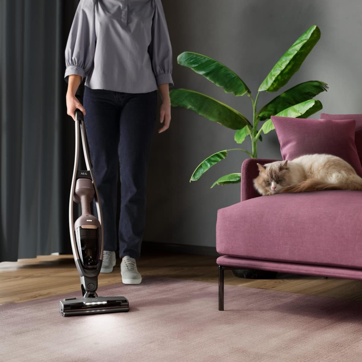 AEG Clean 6000 AS62A252XN Cordless Vacuum Cleaner / Bagless / Quiet / Handheld Vacuum Cleaner Battery / 55 min Running Time / Hard Floor / 2-in-1 / Pet Hair / Dog / Cat / Carpet / Car / Brown