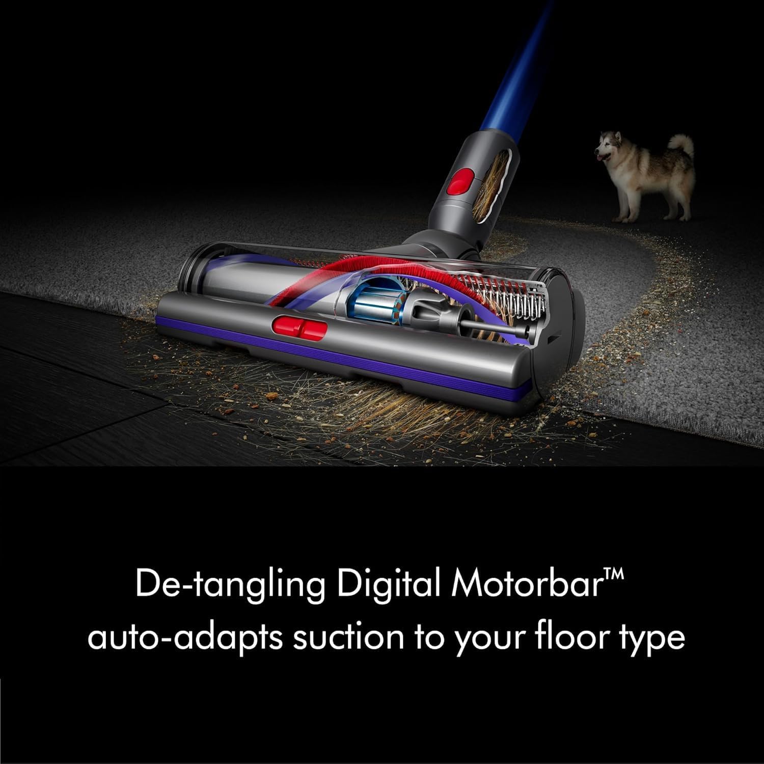 Dyson V11 Torque Drive Cordless Handheld Portable Vacuum Cleaner, Blue (Renewed)