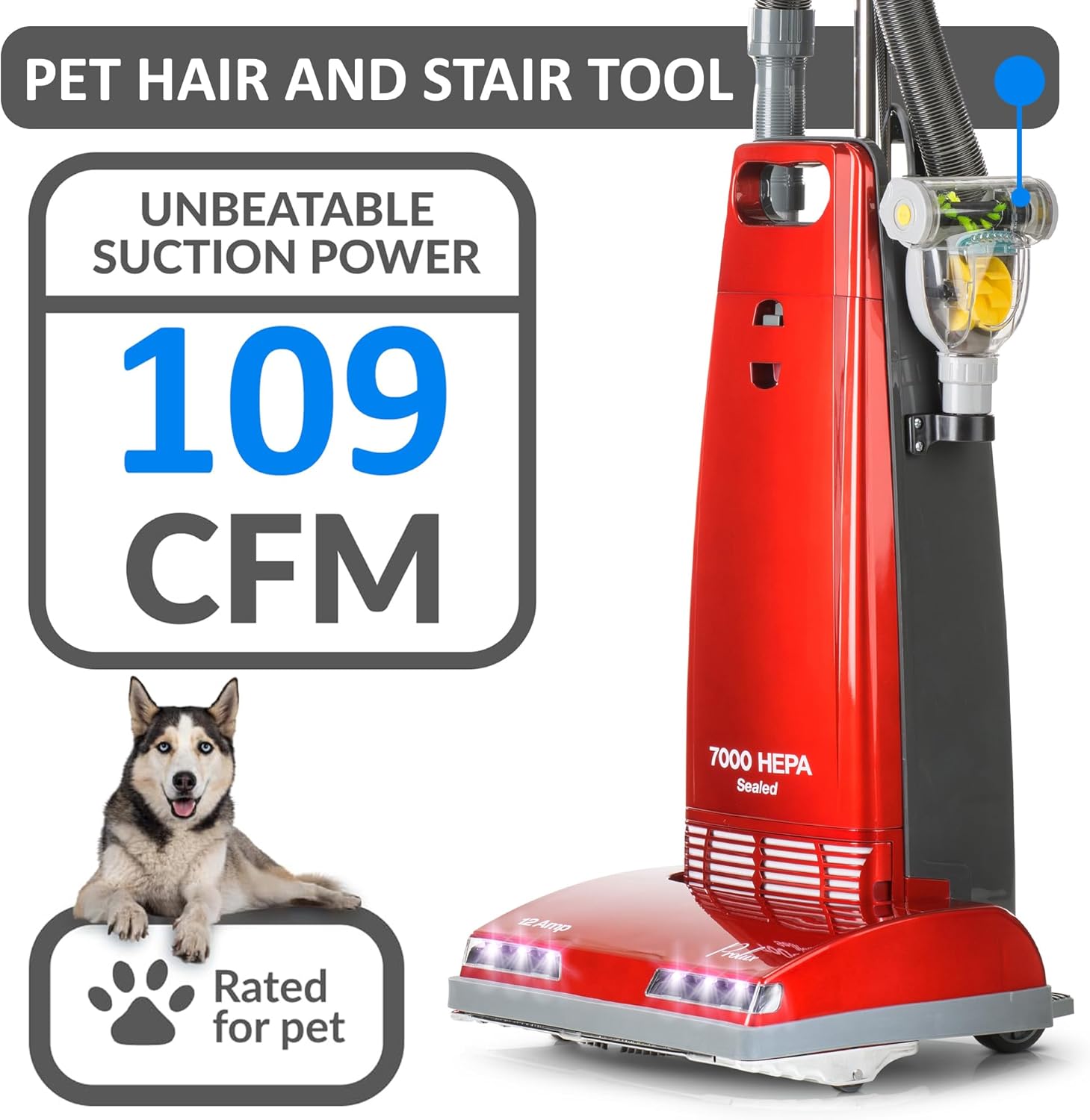 Prolux 7000 Upright Vacuum – Powerful True HEPA Filtration, Bagged Dust Chamber, Stainless Steel Brush Roll, Onboard Tools