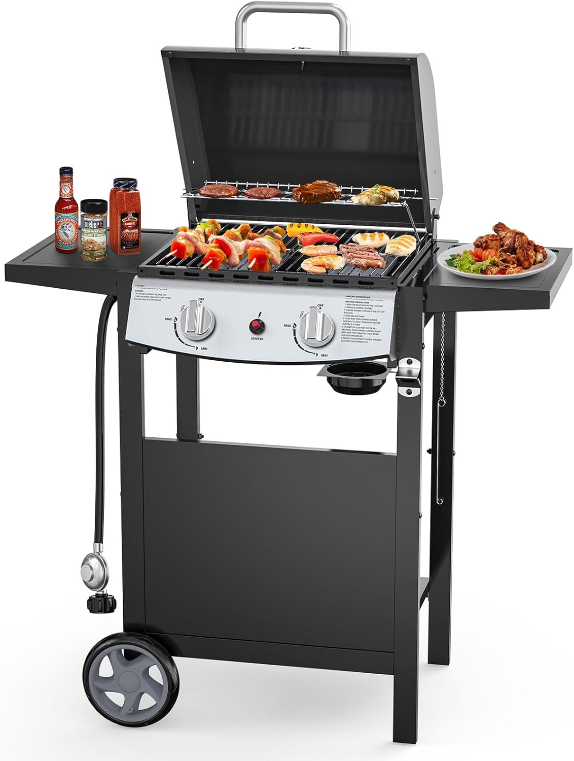 2-Burner Propane Gas BBQ Grill, 20,000 BTU Stainless Steel Grill with Side Shelves and Wheels, Portable Outdoor Grill for Patio, Backyard, Garden, or Camping Cooking
