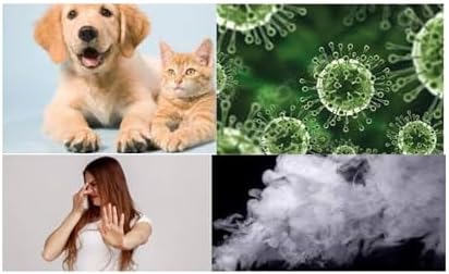 Fast-Shipped-Filters 8 Pack 16x25 Replacement Filters Pads Compatible with Respicaire CG MicroCLean 95 Air Cleaner