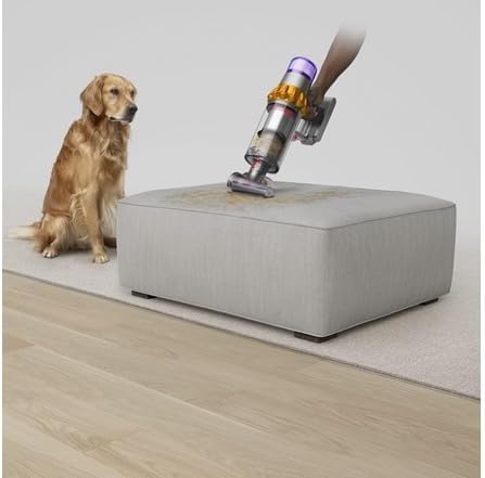 Dyson V15 Detect Cordless Vacuum Cleaner (Renewed Premium)