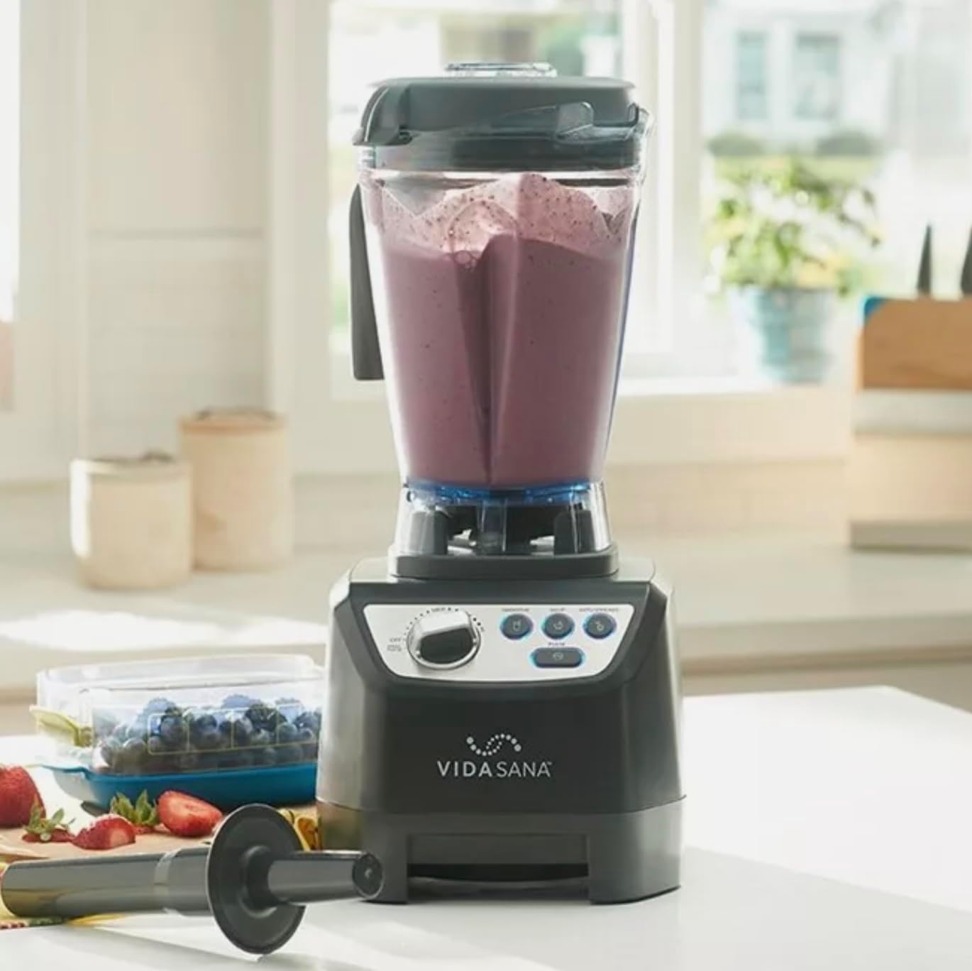 Princess House VIDA SANA ELECTRICS High-Power Blender 4571