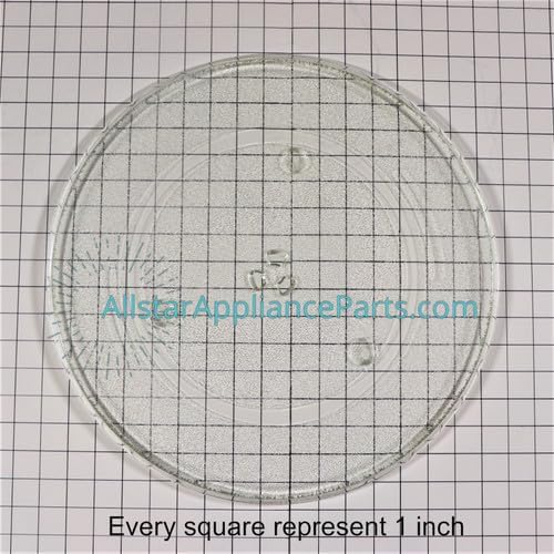 WB48X10046 Microwave Glass Turntable Plate