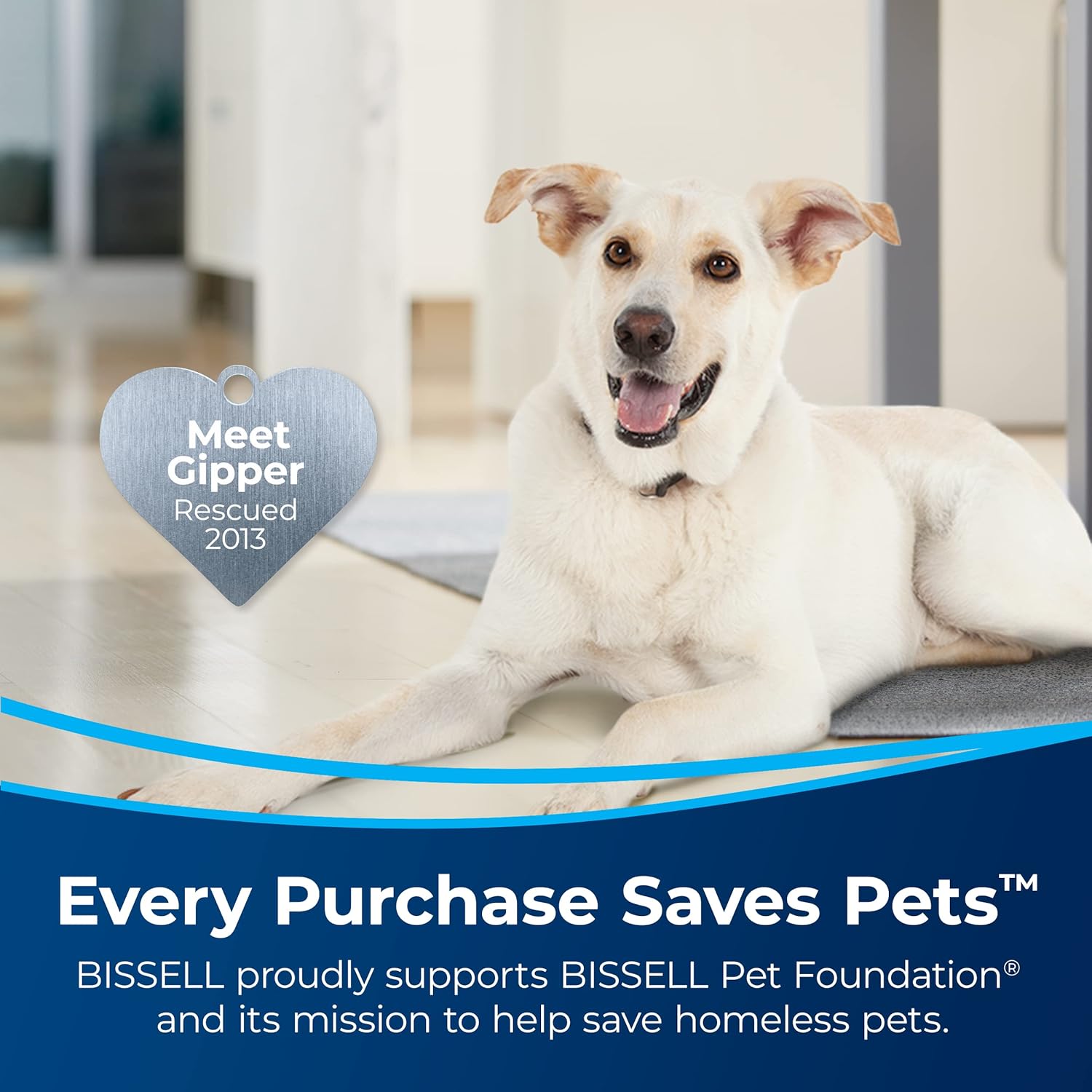 Bissell CrossWave Floor and Area Rug Cleaner, Wet-Dry Vacuum with Bonus Extra Brush-Roll and Extra Filter, 1785A, Green