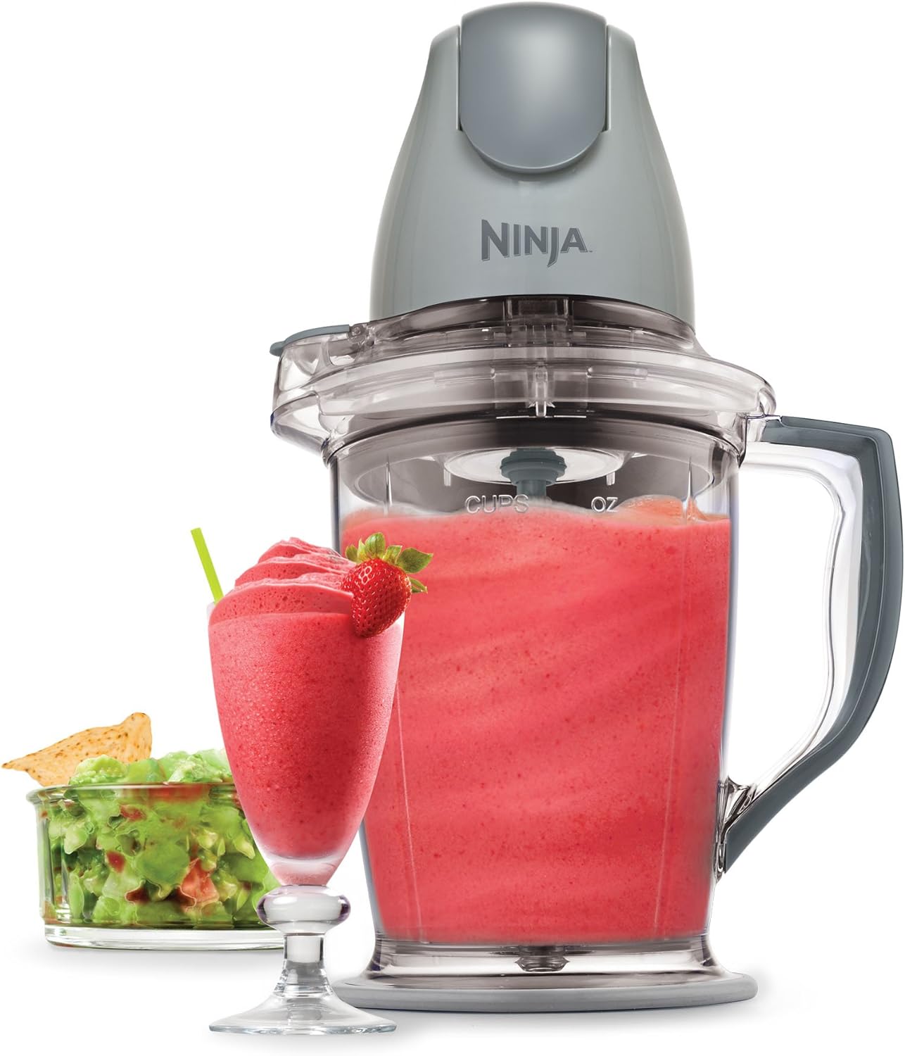 Ninja Master Prep Food and Beverage Blender, Gray