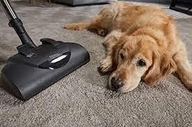 Miele Classic C1 Cat and Dog Canister HEPA Vacuum Cleaner with SEB228 Powerhead Bundle - Includes Performance Pack 16 Type GN AirClean Genuine FilterBags + Genuine HEPA Filter