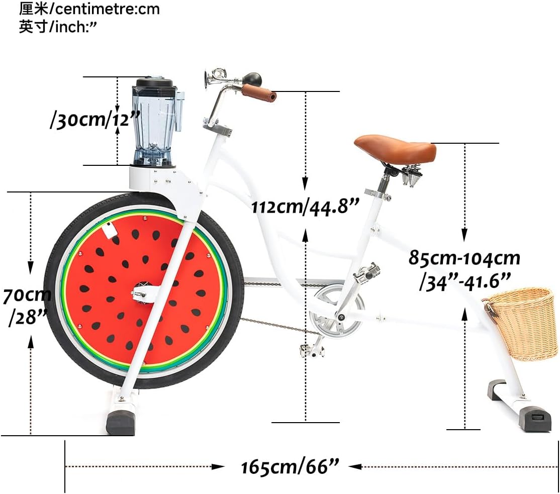 Beach Party Blender Bike - Stationary Smoothie Blender & Juicer Smoothie Bike/customized Cheap juicer blender bike Stationary bike