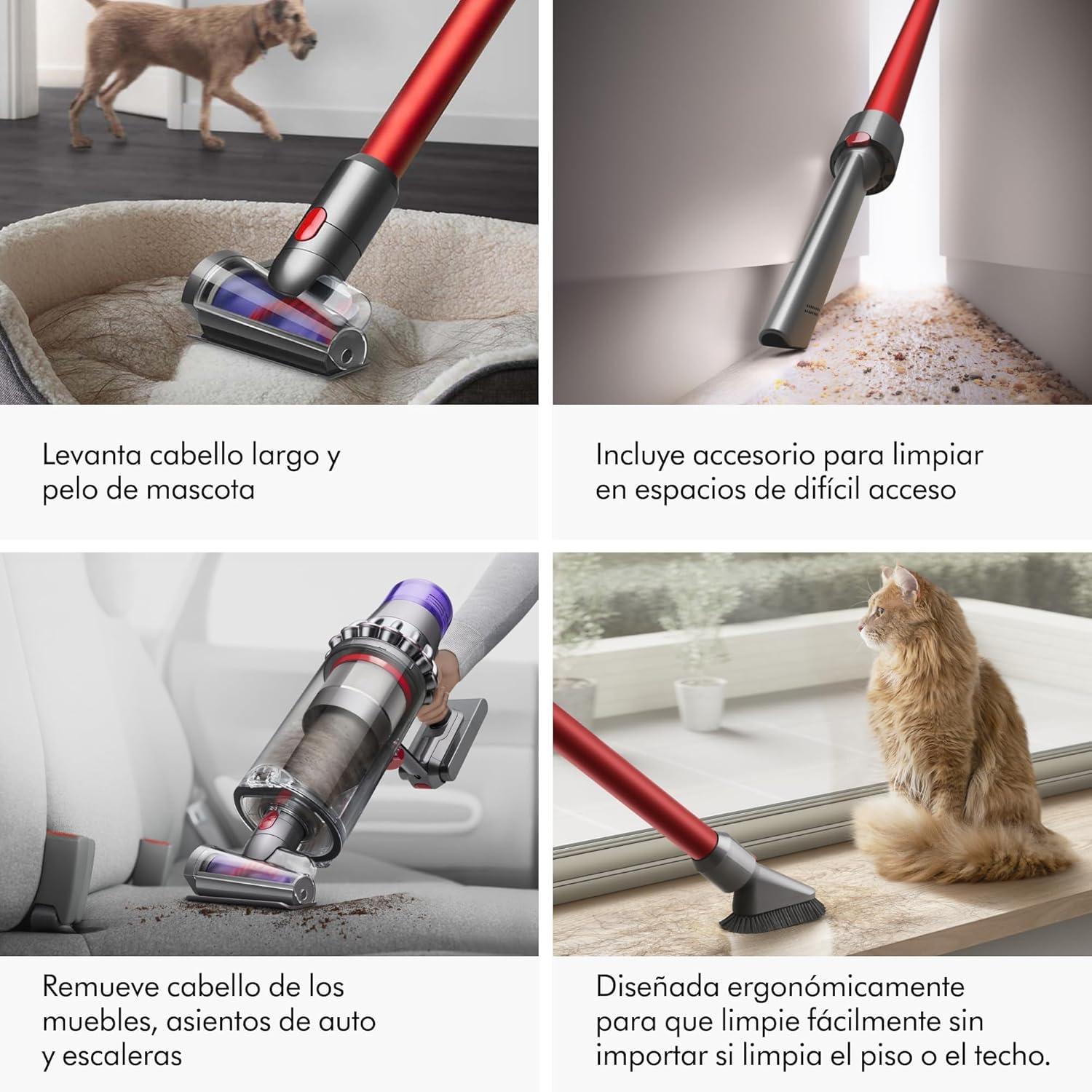 Dyson Outsize Origin Cordless Vacuum, Nickel/Red (Renewed)