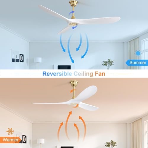 60 Inches Modern Abs With 6-speed Smart Remote, Reversible Dc Motor, Quiet Operation For Bedroom, Living Room, Gold – Energy Efficient